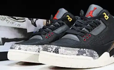 CV3583-003 “ANIMAL AIR 3 JORDAN 2.0” SE INSTINCT 0623
